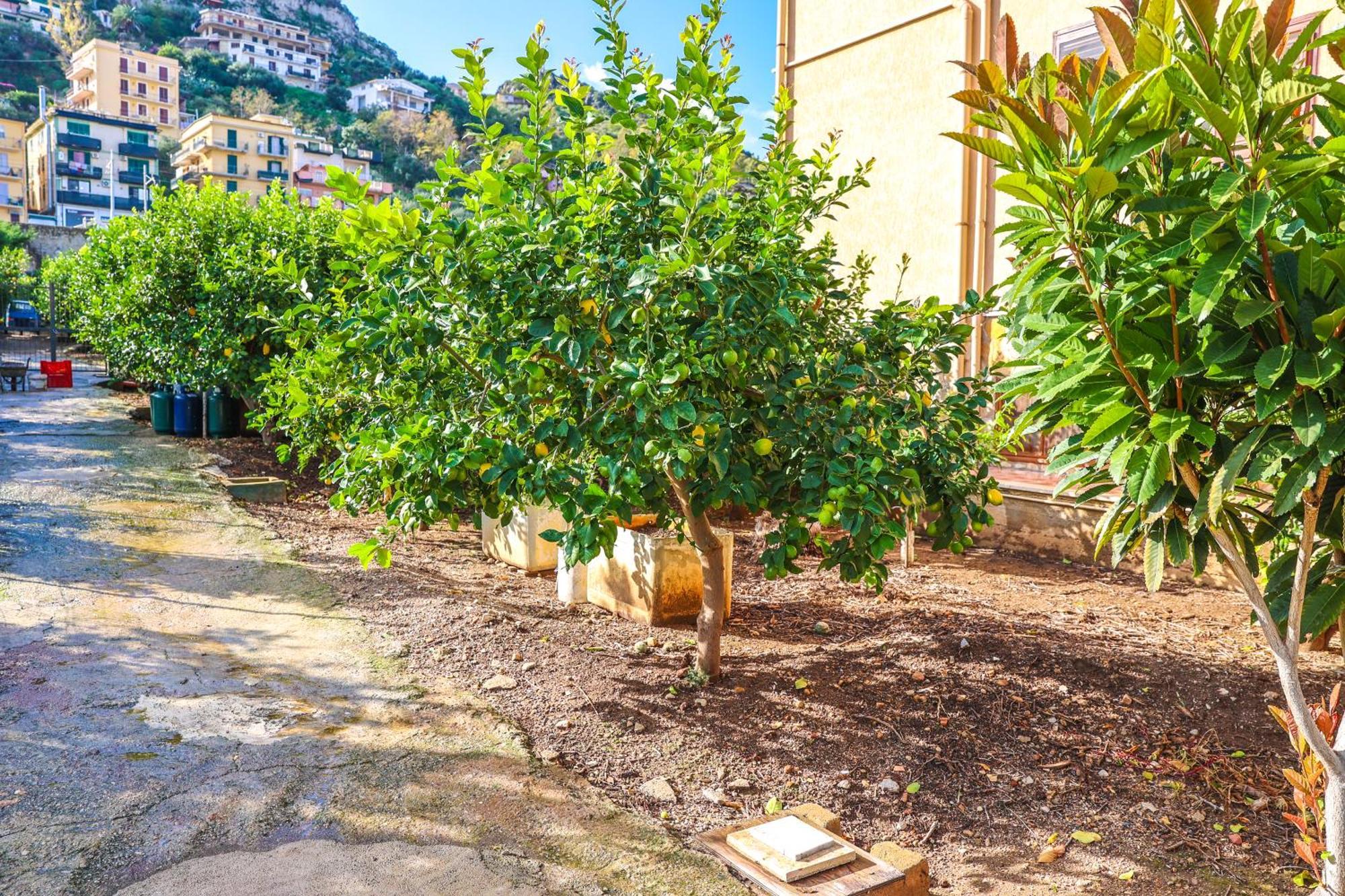 B&B Giardino Dei Cedri Трабия Экстерьер фото
