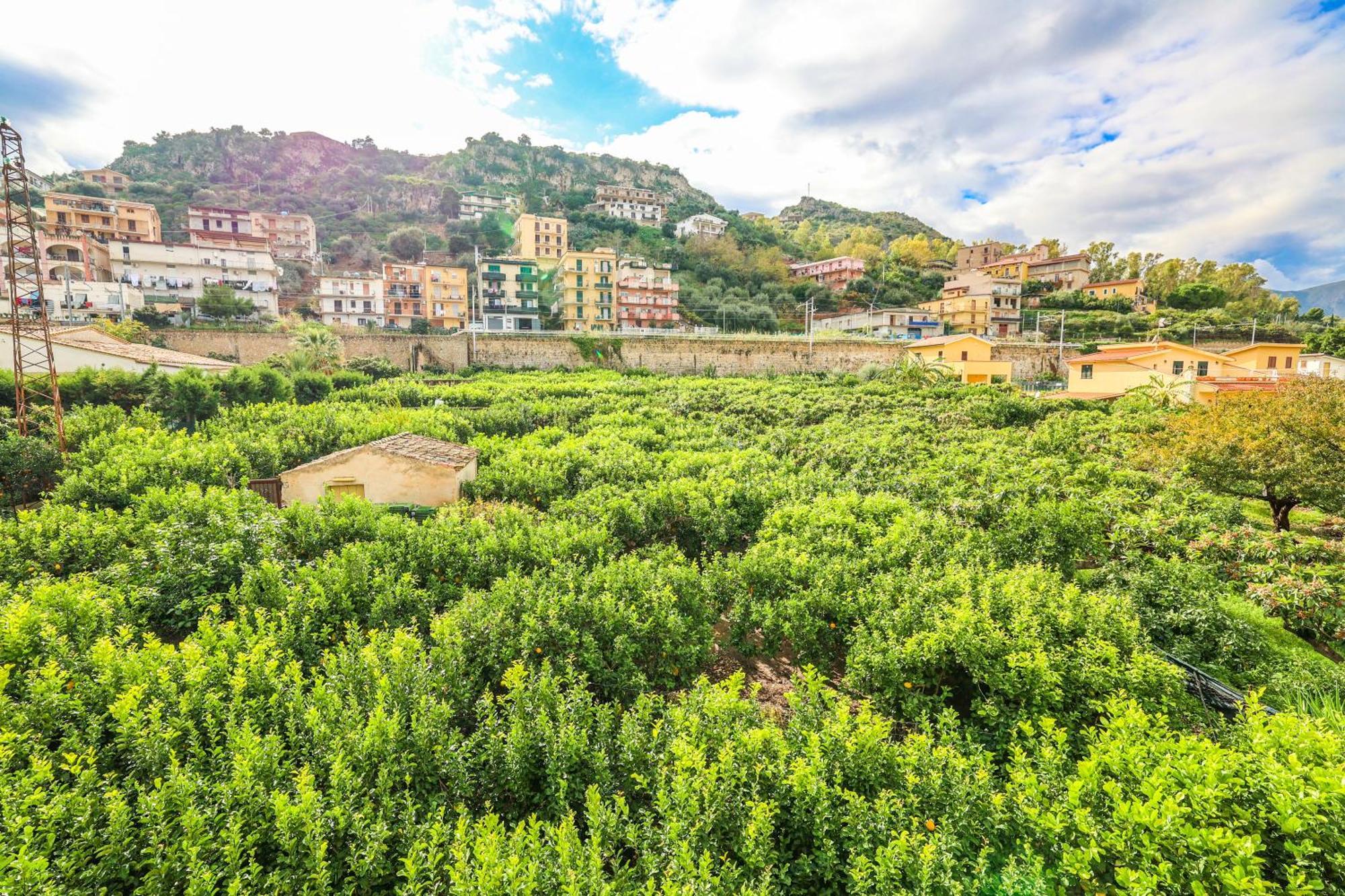 B&B Giardino Dei Cedri Трабия Экстерьер фото